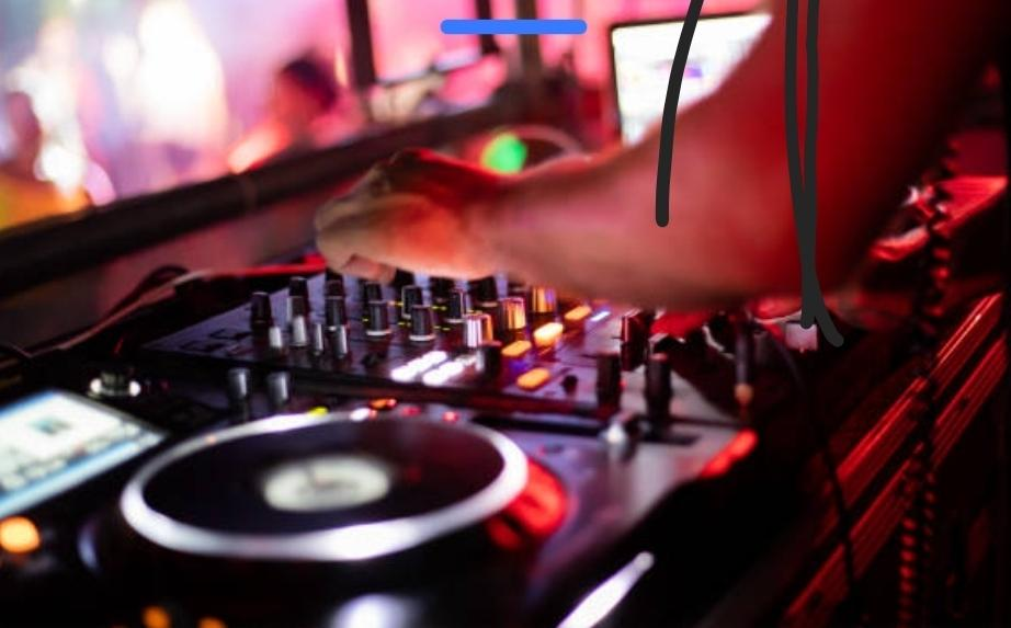 Professional DJ